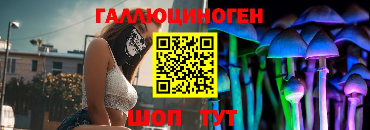 Галлюциногенные грибы GOLDEN TEACHER Ессентуки